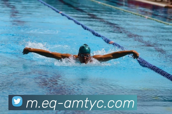 澳门太阳城平台生态图